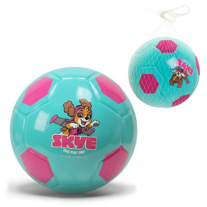 М'яч гумовий арт. PP2514 (300шт)  20 см,Paw Patrol  110 гр блакитний